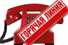 14 октября состоится "горячая линия" по вопросам актуализации данных получателей пенсионных выплат